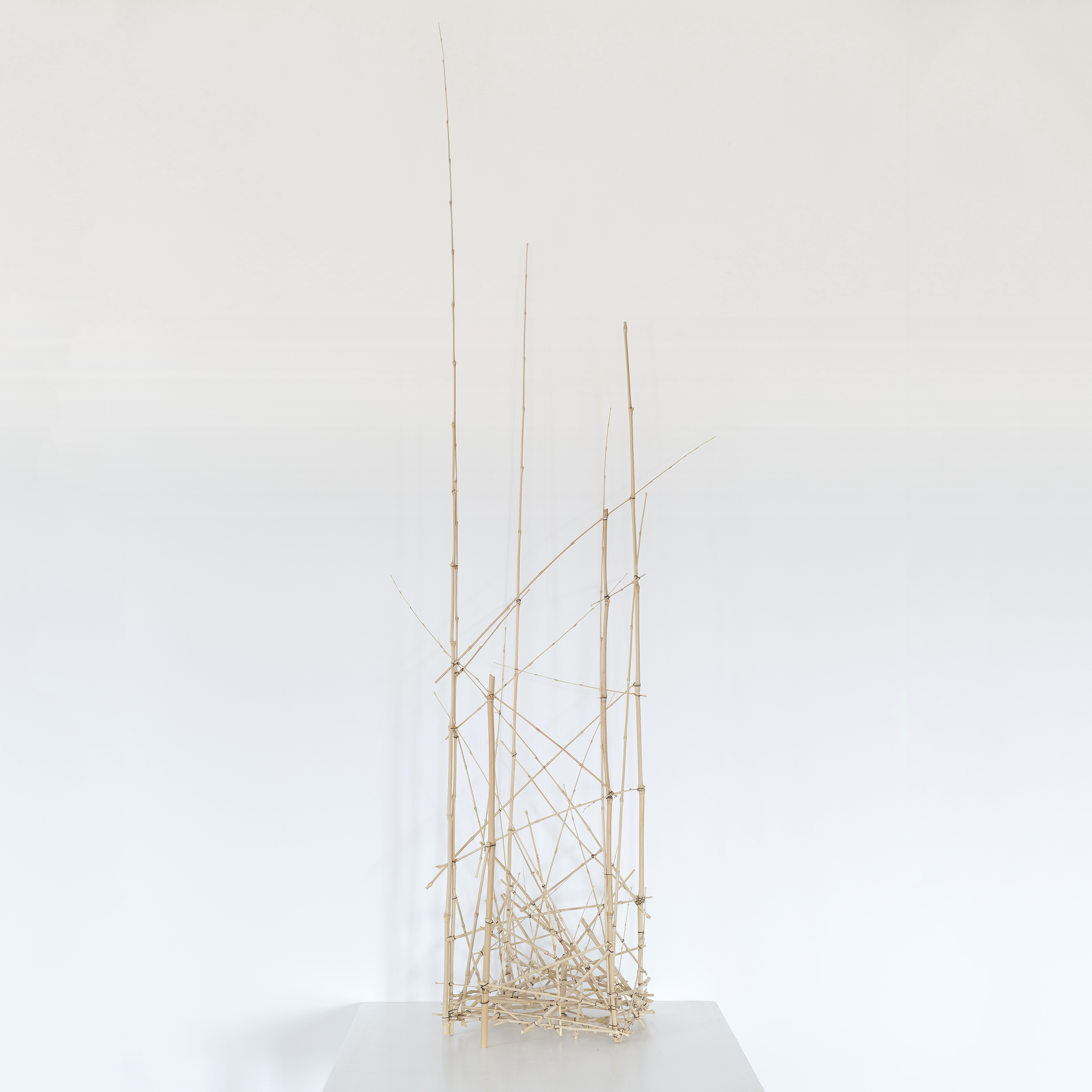 Sculpture 1 - 2016 - Bambous, fil de fer - 45 x 31 x 160 cm.