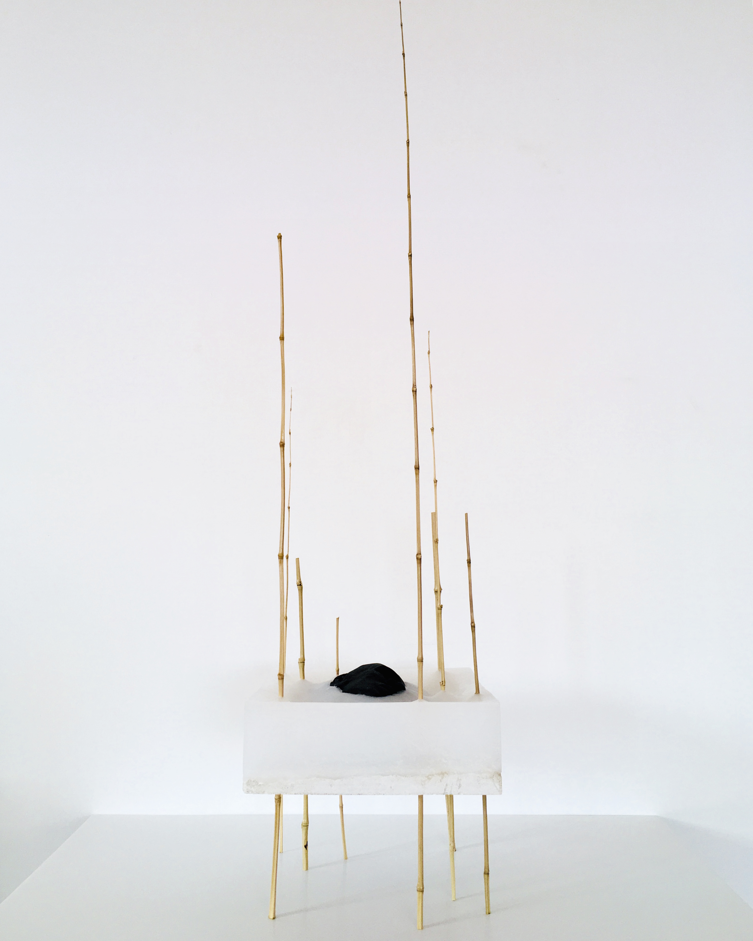 SCULPTURE 9 BAMBOU PARAFFINE