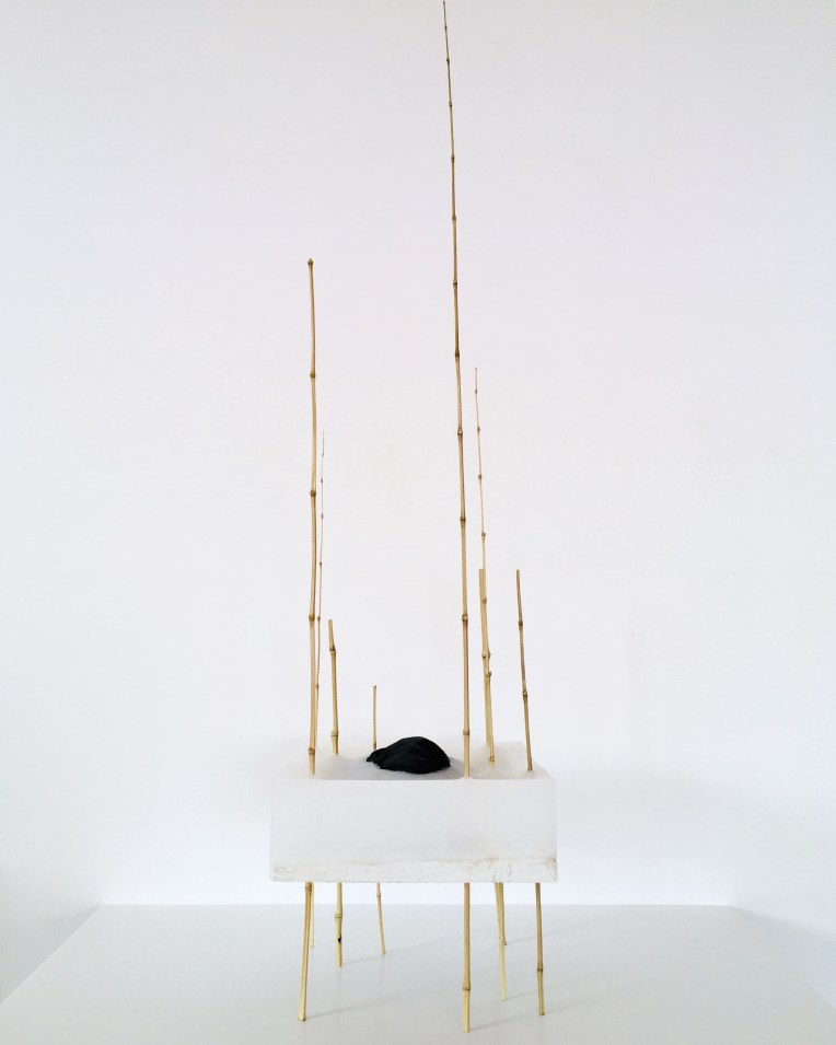 SCULPTURE 9 BAMBOU PARAFFINE