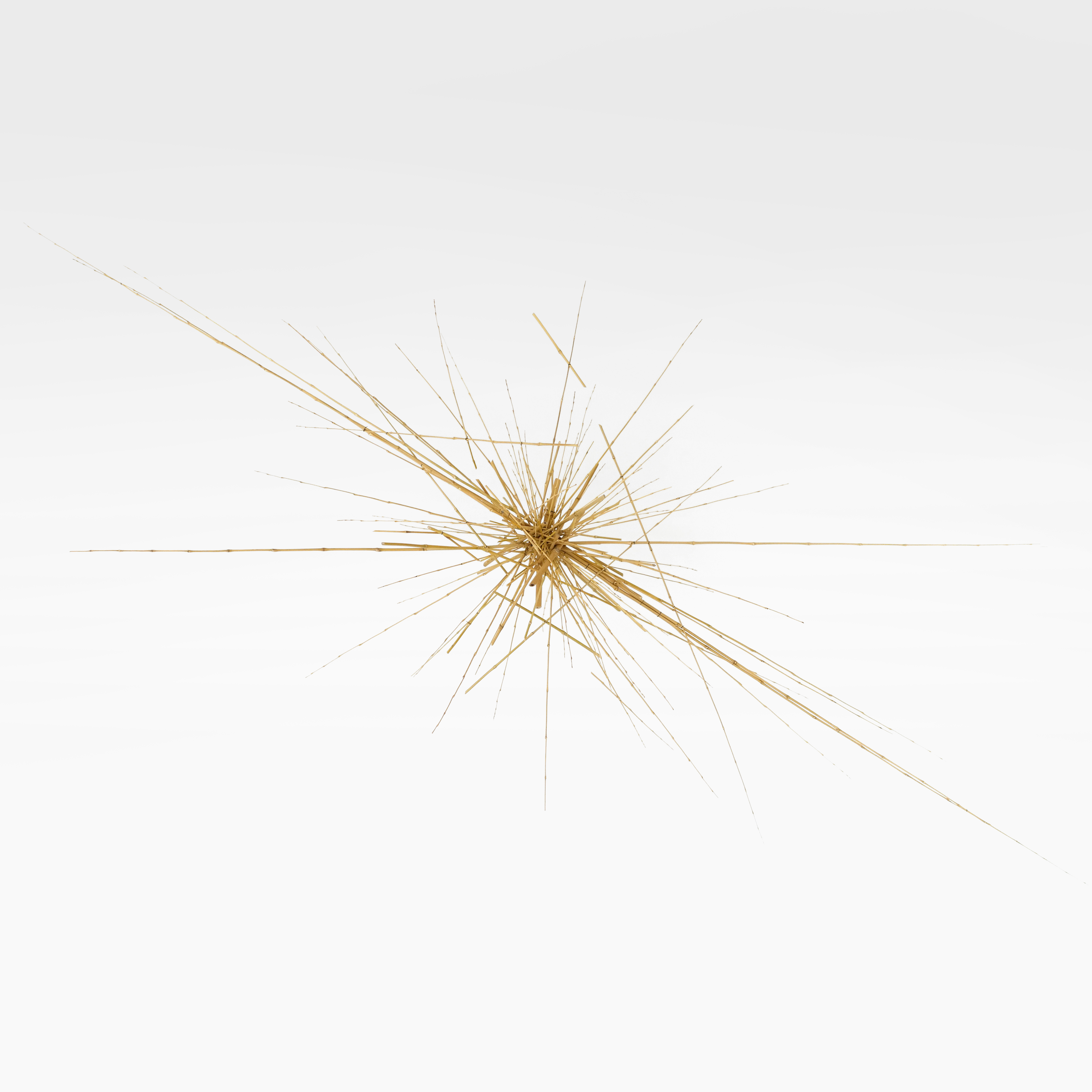 SCULPTURE 15. Bambou