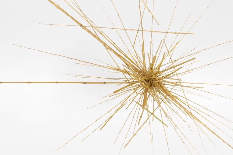 SCULPTURE 15 BAMBOU B