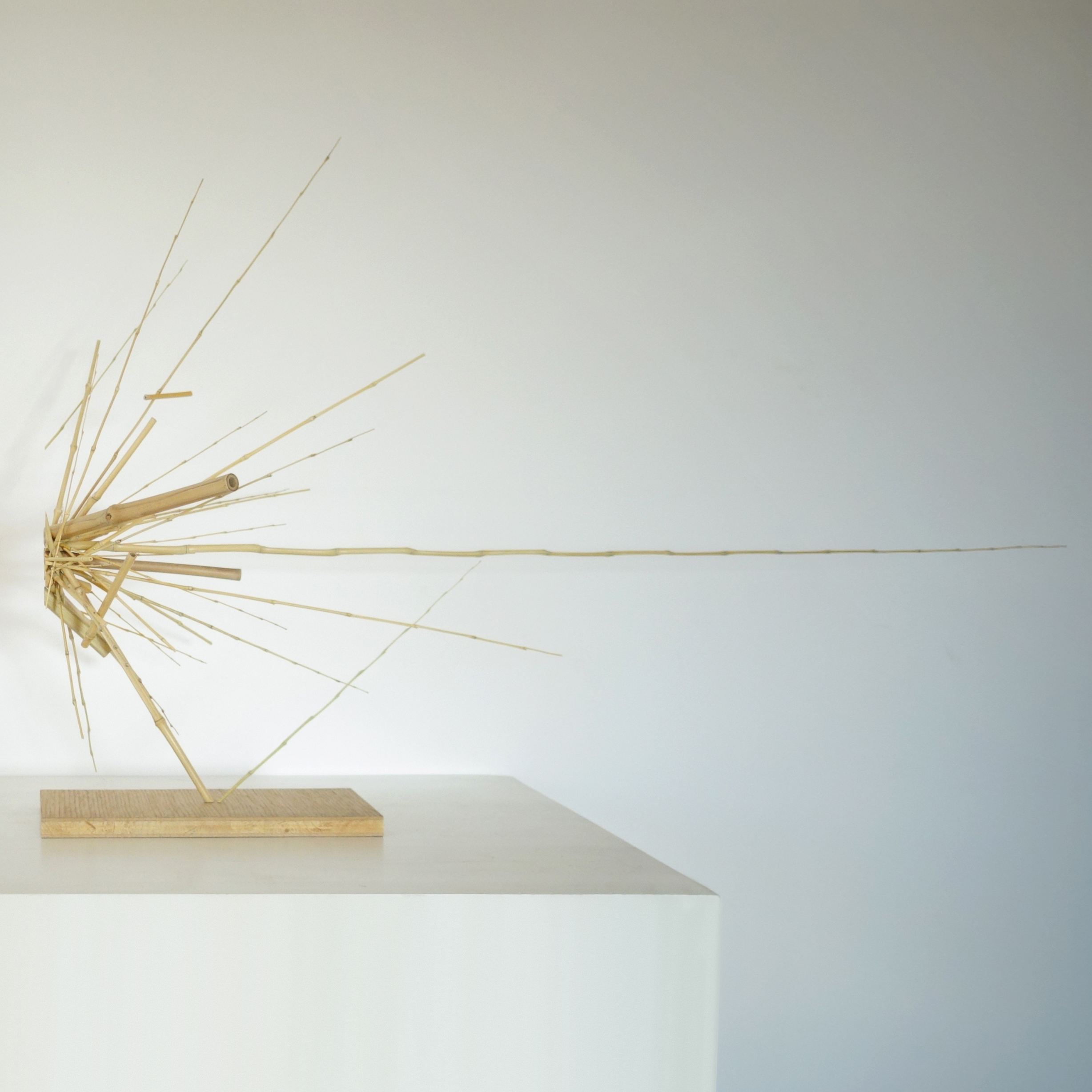 Sculpture 25 "L'impact"